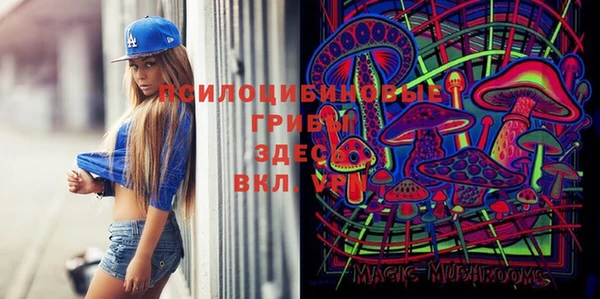 ГАЛЛЮЦИНОГЕННЫЕ ГРИБЫ Алапаевск