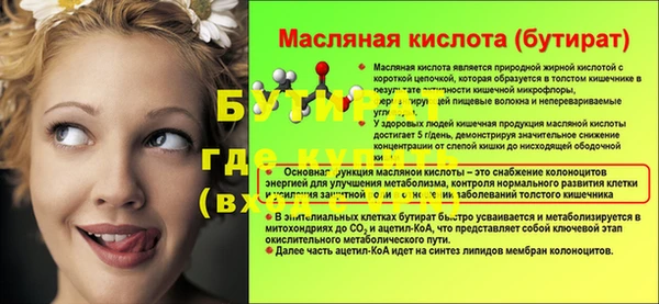 прущие грибы Апатиты