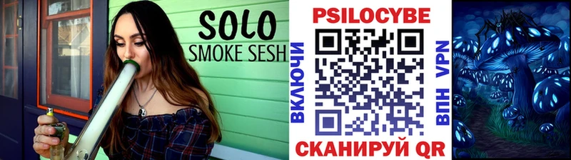 Галлюциногенные грибы Psilocybine cubensis  blacksprut как войти  Бакал  продажа наркотиков 